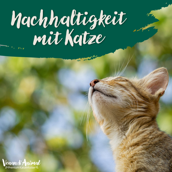 20240306_Nachhaltigkeit-mit-Katze