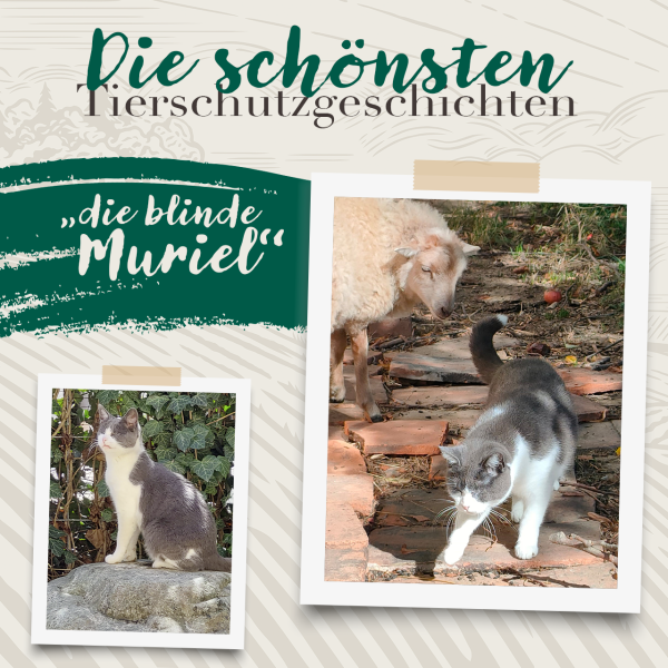 Venandi-Animal-Slider-Tierschutz-Blog-MobilZ52ng2lxwHRw3